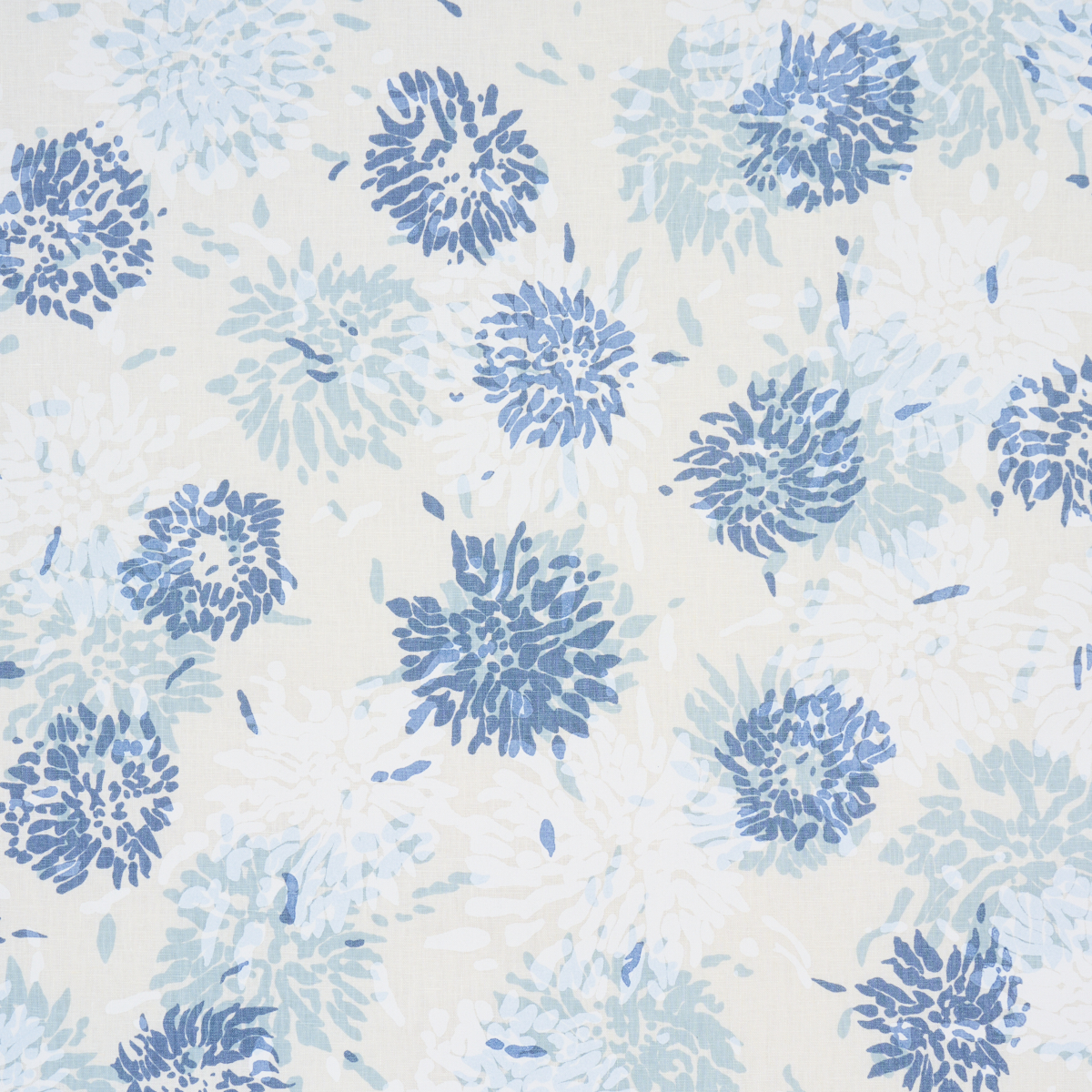 Chrysanthemum By Tillett