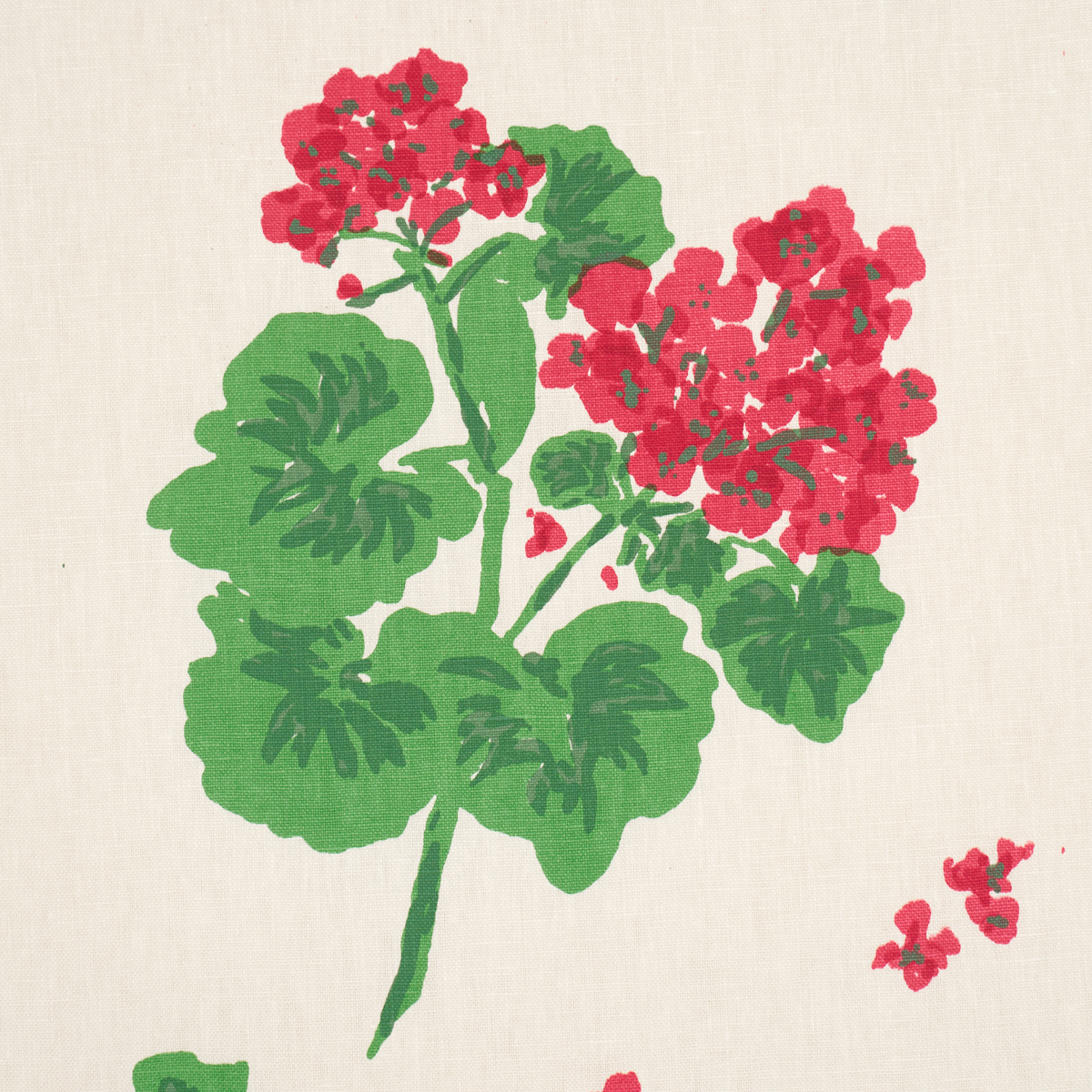 Geranium
