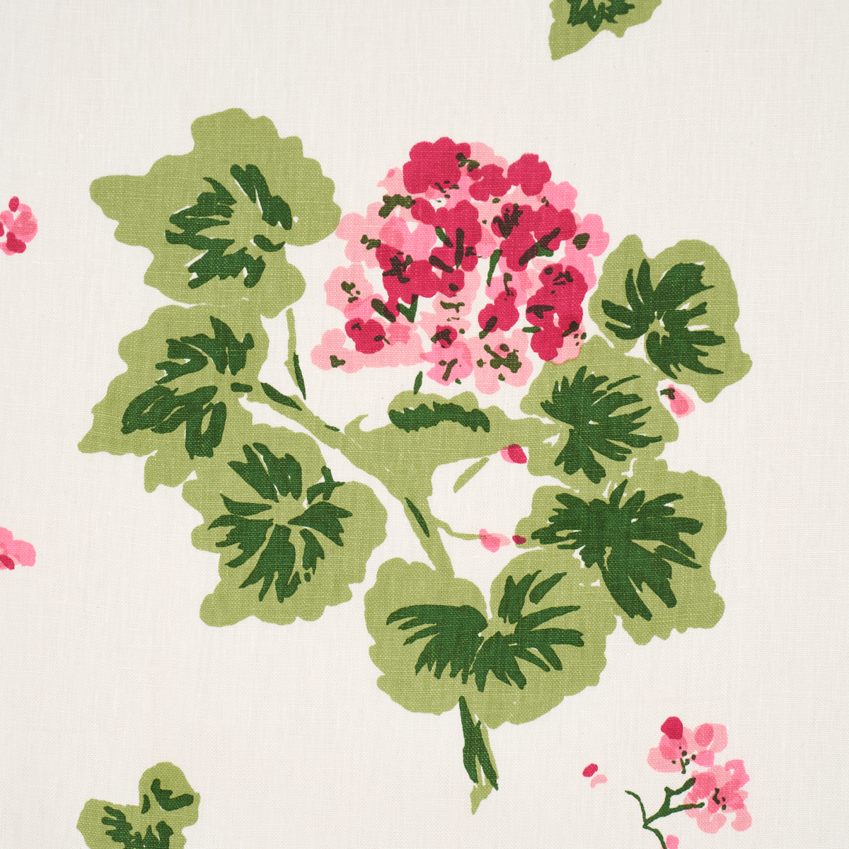 Geranium