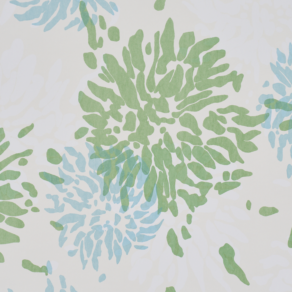 Chrysanthemum By Tillett