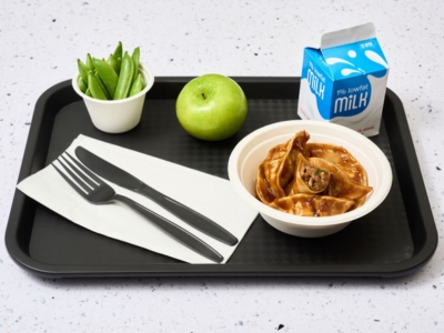 BEEF AND VEGETABLE DUMPLINGS