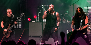 Cover image for Sepultura