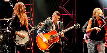 Cover image for The Chicks