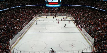 Cover image for Anaheim Ducks