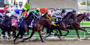 Cover image for Kentucky Derby