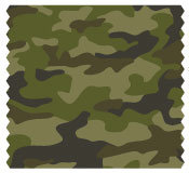 Fall Fashion Camo Print Fall Fashion Camo Print