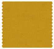Fall Fashion Mustard Yellow Color Fall Fashion Mustard Yellow Color