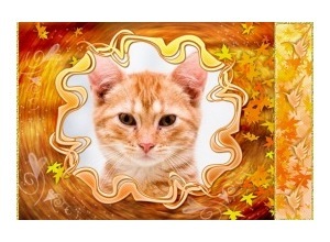 Moldura - Folhas Secas Coloridas