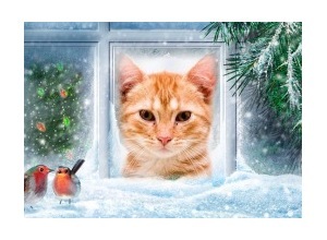 Moldura - Passaros Na Neve