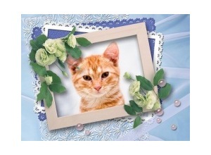 Moldura - Moldura Com Rosas