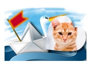 Moldura - Barquinho De Papel E Ganso