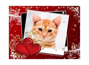 Moldura - Os Dois Coracoes