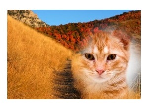 Moldura - Trilha Na Montanha