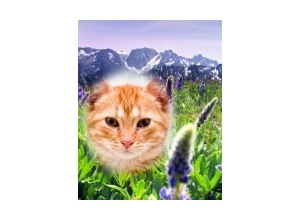 Moldura - Montanha Cashmere