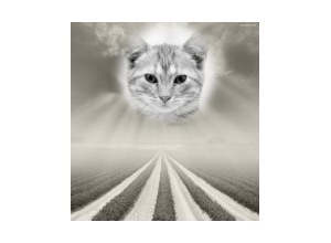 Moldura - Luz Do Alto