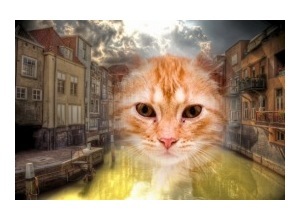 Moldura - Cidade Holandesa