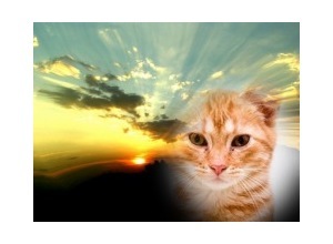 Moldura - Nascer Do Sol