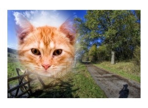 Moldura - Nesta Estrada Da Vida