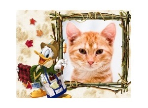 Moldura - Pato Donald