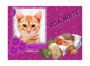 Moldura - Uma Boa Noite