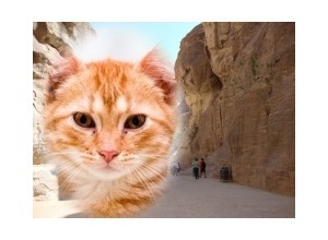 Moldura - Petra Na Jordania