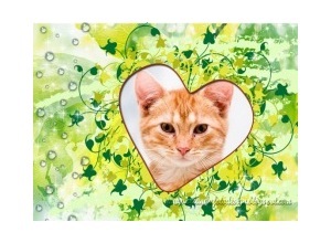 Moldura - Coracao Verde