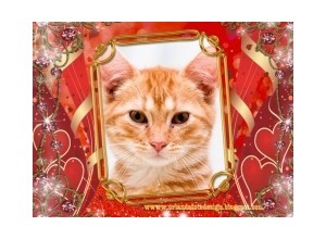 Moldura - Moldura De Coracoes