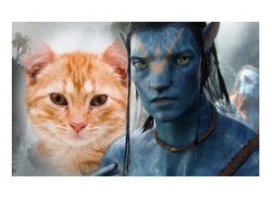 Moldura - Moldura Filme Avatar