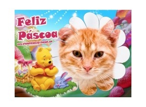 Moldura - Pascoa Pooh