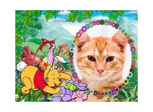 Moldura - Coelhinho Pooh