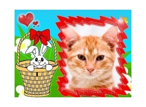 Moldura - Coelhinho No Cesto