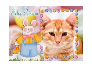 Moldura - Coelho Da Pascoa