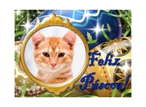 Moldura - Feliz Pascoa