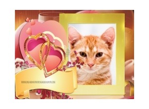 Moldura - Coracoes Entrelacados