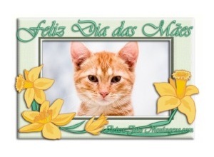 Moldura - Dia Das Maes