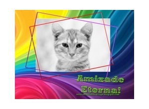 Moldura - Amizade Eterna