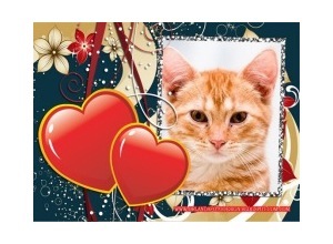 Moldura - Dois Lindos Coracoes