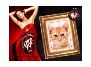 Moldura - Clube Atletico Paranaense