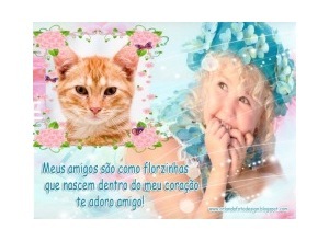 Moldura - Meus Amigos