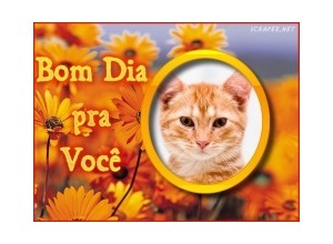 Moldura - Bom Dia Pra Voce