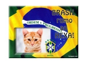Moldura - Brasil Copa Do Mundo