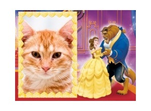 Moldura - A Bela E A Fera Dancando