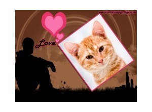 Moldura - Rapaz Solitario