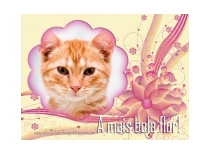 Moldura - A Mais Bela Flor