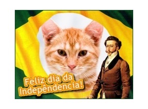 Moldura - Independencia Do Brasil