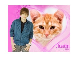 Moldura - Cartor Justin Bieber