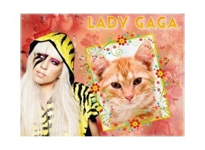 Moldura - Lady Gaga