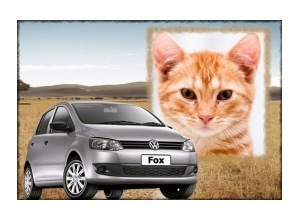 Moldura - Volkswagen Fox 2010