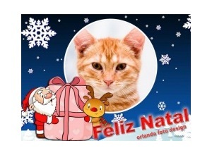 Moldura - Feliz Natal 2010