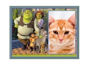 Moldura - Turma Do Shrek